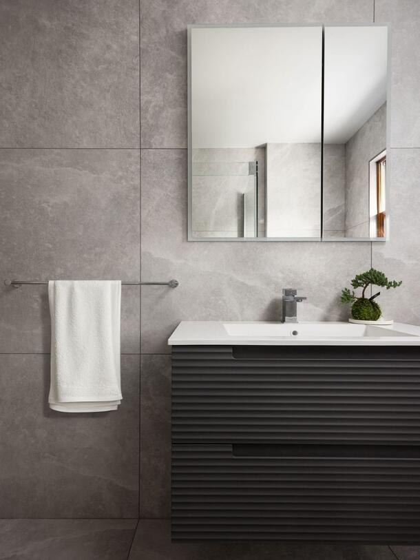 Guest Bathroom Renovation