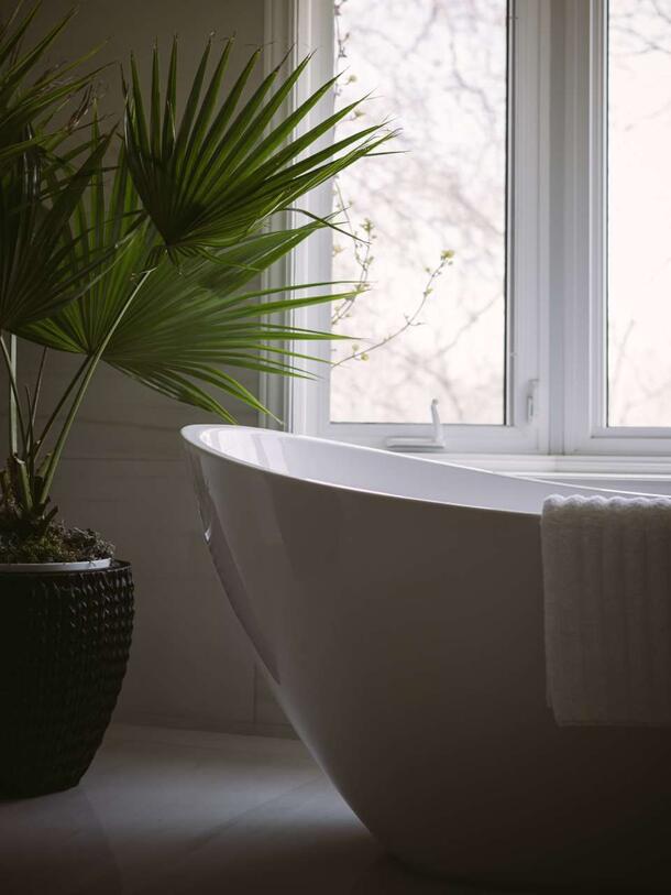Introduction to Bathroom Renovation