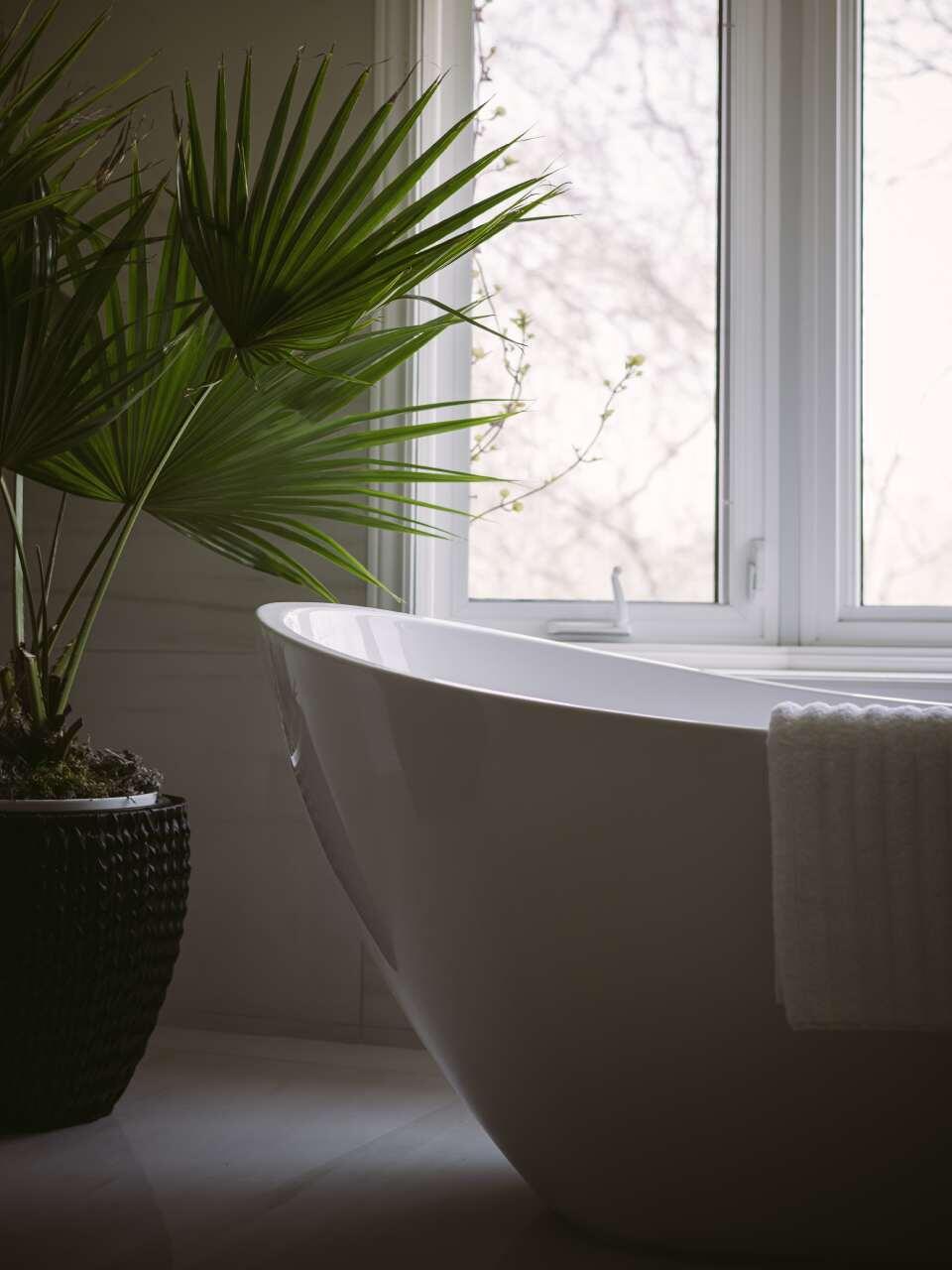 Introduction to Bathroom Renovation