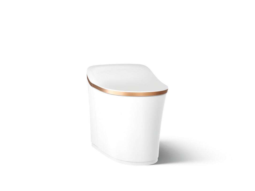 Eir One-piece-elongated-smart-toilet