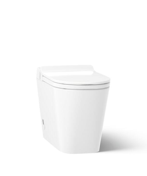 Leap™ One-piece elongated smart toilet, dual-flush
