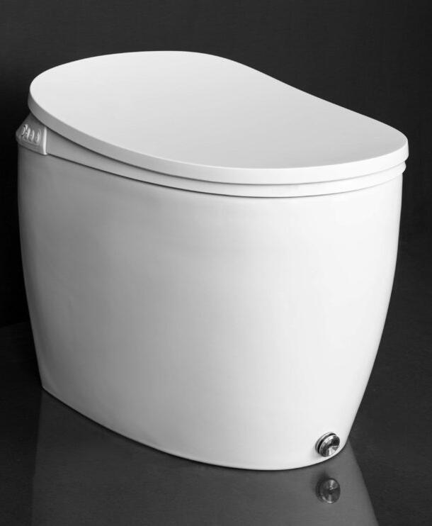 Massa Intelligent Toilet