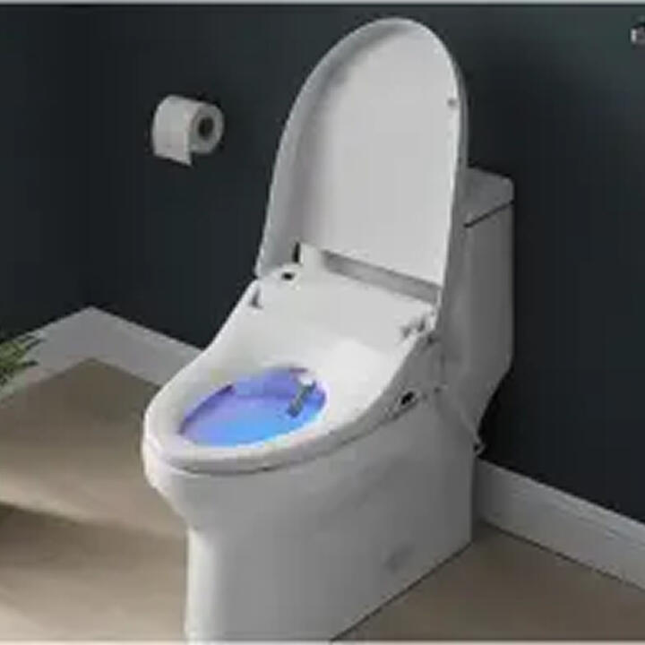 Smart Toilet